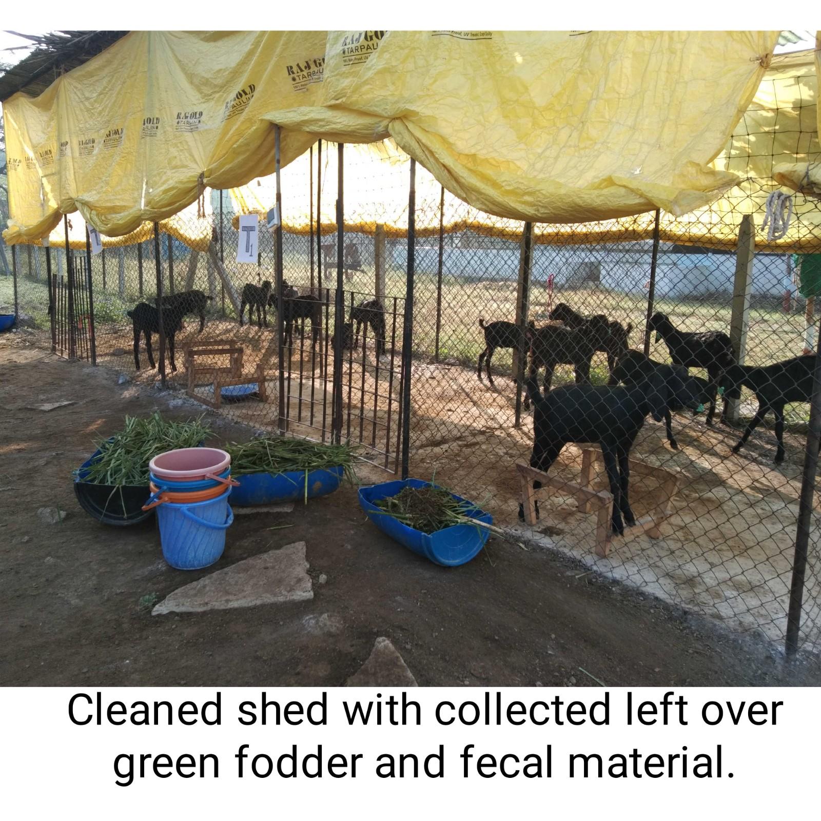 Cleaned Shed With Collected Leftover